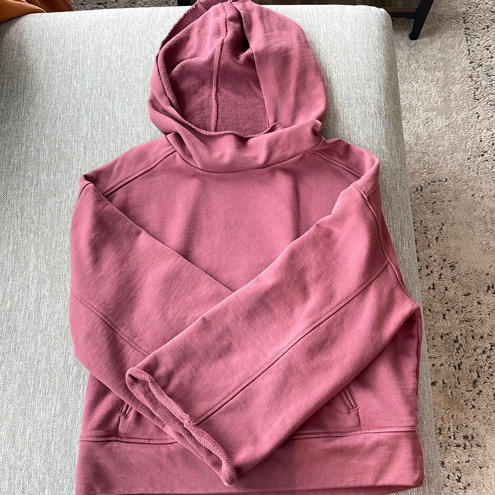 Alo yoga hooded sweatshirt